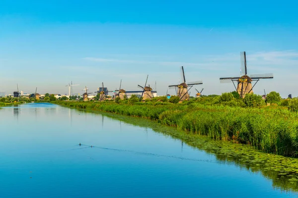 Moinhos de vento Kinderdijk vistos durante o dia ensolarado de verão, Rotterdam , — Fotografia de Stock