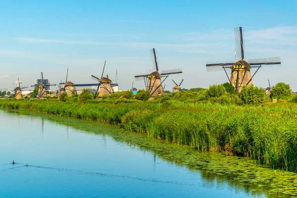 Moinhos de vento Kinderdijk vistos durante o dia ensolarado de verão, Rotterdam , — Fotografia de Stock