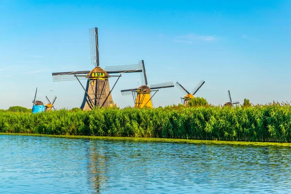 Wiatraki Kinderdijk oglądane w słoneczny letni dzień, Rotterdam, — Zdjęcie stockowe