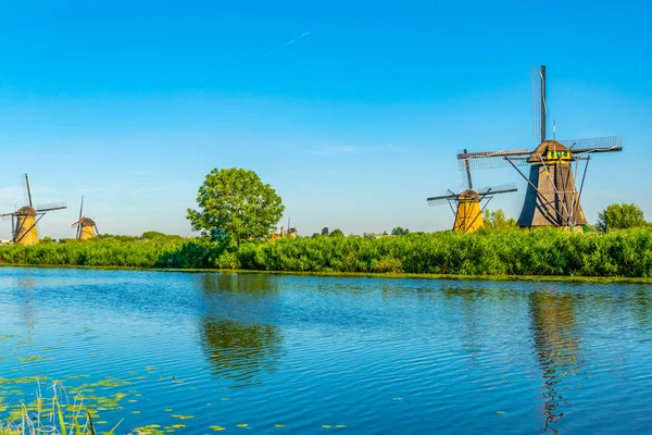 Wiatraki Kinderdijk oglądane w słoneczny letni dzień, Rotterdam, — Zdjęcie stockowe