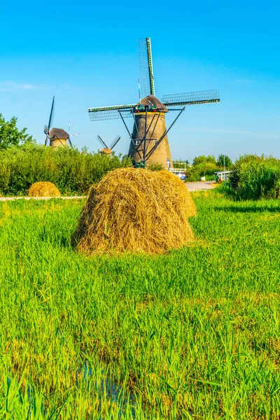 Kinderdijk yel değirmenleri güneşli yaz günü, Rotterdam sırasında görüntülenen, 