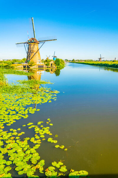Kinderdijk windmills viewed during sunny summer day, Rotterdam, 
