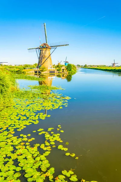 Moinhos de vento Kinderdijk vistos durante o dia ensolarado de verão, Rotterdam , — Fotografia de Stock