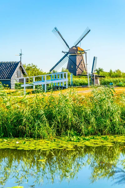 Moinhos de vento Kinderdijk vistos durante o dia ensolarado de verão, Rotterdam , — Fotografia de Stock