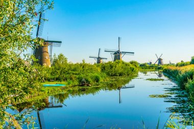 Kinderdijk yel değirmenleri güneşli yaz günü, Rotterdam sırasında görüntülenen, 