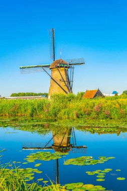 Kinderdijk yel değirmenleri güneşli yaz günü, Rotterdam sırasında görüntülenen, 
