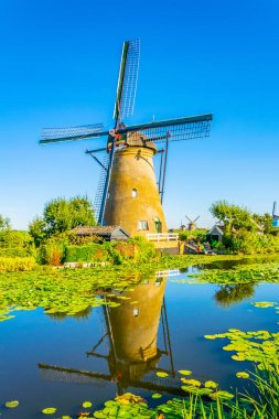 Kinderdijk yel değirmenleri güneşli yaz günü, Rotterdam sırasında görüntülenen, 