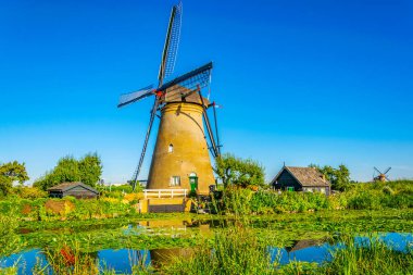 Kinderdijk yel değirmenleri güneşli yaz günü, Rotterdam sırasında görüntülenen, 