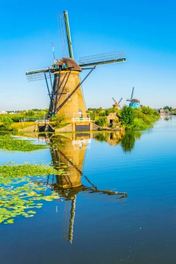 Kinderdijk yel değirmenleri güneşli yaz günü, Rotterdam sırasında görüntülenen, 