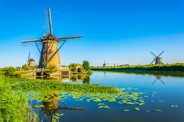 Kinderdijk yel değirmenleri güneşli yaz günü, Rotterdam sırasında görüntülenen, 