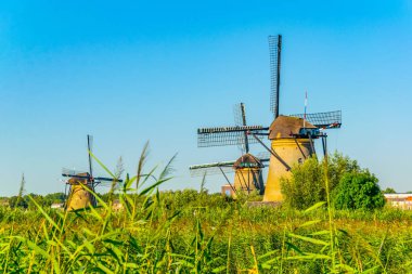 Kinderdijk yel değirmenleri güneşli yaz günü, Rotterdam sırasında görüntülenen, 