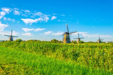 Kinderdijk yel değirmenleri güneşli yaz günü, Rotterdam sırasında görüntülenen, 
