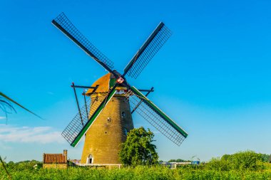 Kinderdijk yel değirmenleri güneşli yaz günü, Rotterdam sırasında görüntülenen, 