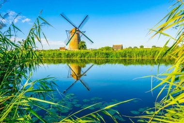 Kinderdijk yel değirmenleri güneşli yaz günü, Rotterdam sırasında görüntülenen, 