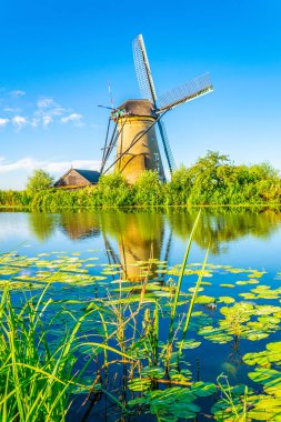 Kinderdijk yel değirmenleri güneşli yaz günü, Rotterdam sırasında görüntülenen, 