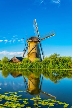 Kinderdijk yel değirmenleri güneşli yaz günü, Rotterdam sırasında görüntülenen, 