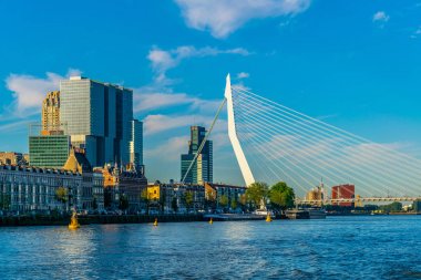 Erasmus Bridge Rotterdam, Hollanda