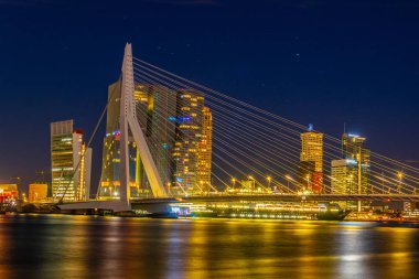 Rotterdam, Netherlan'daki ışıklı Erasmus köprüsünün gece manzarası