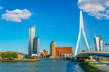 Rotterdam, Hollanda'da gökdelenler ve Erasmus köprüsü