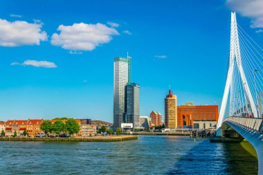 Rotterdam, Hollanda'da gökdelenler ve Erasmus köprüsü