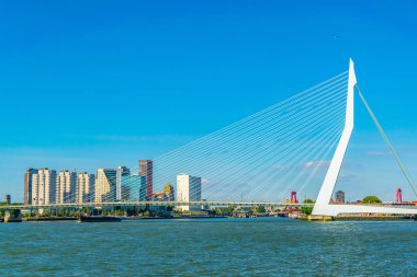 Rotterdam, Hollanda'da gökdelenler ve Erasmus köprüsü