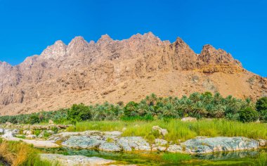 Umman'daki Wadi Tiwi, turqoise suyu, kıyılarında yetişen yemyeşil palmiyeler ve dik yamaçları olan derin bir geçiti birleştiren bir doğa harikasıdır..
