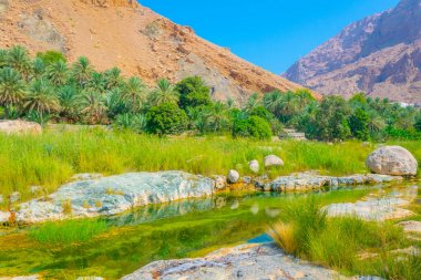 Umman'daki Wadi Tiwi, turqoise suyu, kıyılarında yetişen yemyeşil palmiyeler ve dik yamaçları olan derin bir geçiti birleştiren bir doğa harikasıdır..
