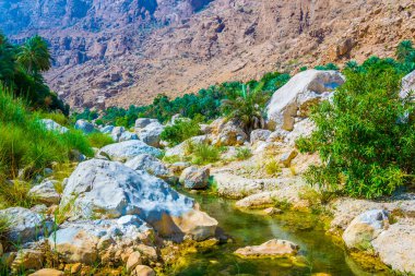 Umman'daki Wadi Tiwi, turqoise suyu, kıyılarında yetişen yemyeşil palmiyeler ve dik yamaçları olan derin bir geçiti birleştiren bir doğa harikasıdır..