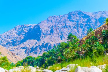 Umman'daki Wadi Tiwi, turqoise suyu, kıyılarında yetişen yemyeşil palmiyeler ve dik yamaçları olan derin bir geçiti birleştiren bir doğa harikasıdır..