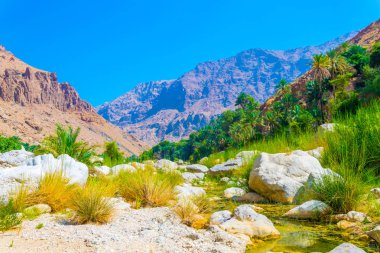 Umman'daki Wadi Tiwi, turqoise suyu, kıyılarında yetişen yemyeşil palmiyeler ve dik yamaçları olan derin bir geçiti birleştiren bir doğa harikasıdır..
