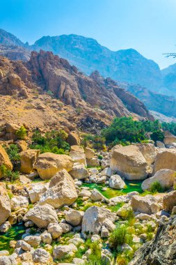 Wadi Tiwi in Oman is a natural wonder combining stream of turqoise water, lush palms growing on its shore and a deep gorge with steep slopes. clipart
