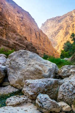 Umman Wadi Shab serbestçe uzak bir vaha yüzmek isteyen ziyaretçiler için popüler bir yerdir.