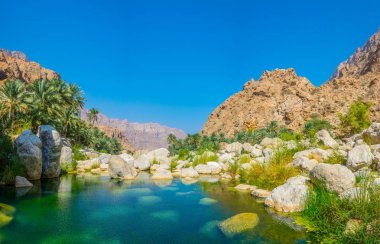 Lagoon with turqoise water in Wadi Tiwi in Oman.