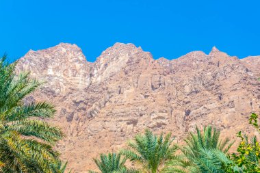 Umman arka planda dik bir uçurum ile wadi tiwi Palmiye.