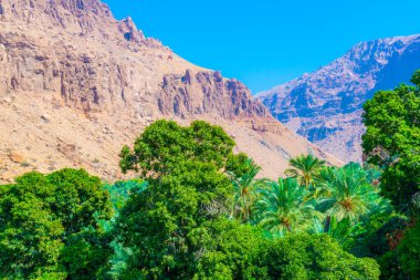 Umman arka planda dik bir uçurum ile wadi tiwi Palmiye.