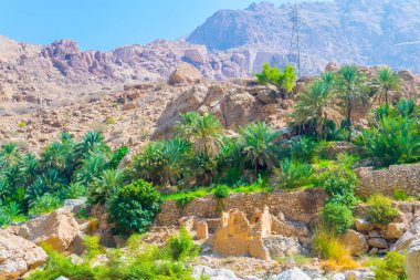 Umman'daki Wadi Tiwi'nin dik yamaçları.