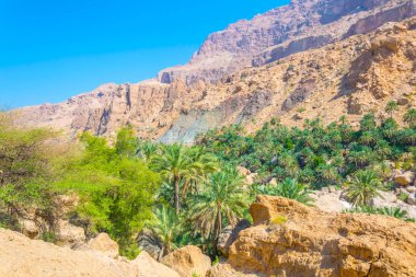 Umman arka planda dik bir uçurum ile wadi tiwi Palmiye.