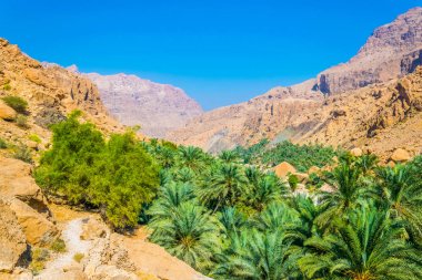Umman arka planda dik bir uçurum ile wadi tiwi Palmiye.