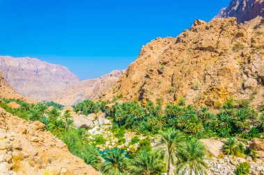 Umman arka planda dik bir uçurum ile wadi tiwi Palmiye.