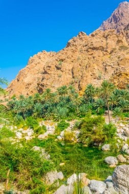 Umman'daki Wadi Tiwi'nin dik yamaçları.