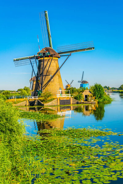 Kinderdijk windmills viewed during sunny summer day, Rotterdam, 