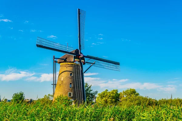 Wiatraki Kinderdijk oglądane w słoneczny letni dzień, Rotterdam, — Zdjęcie stockowe