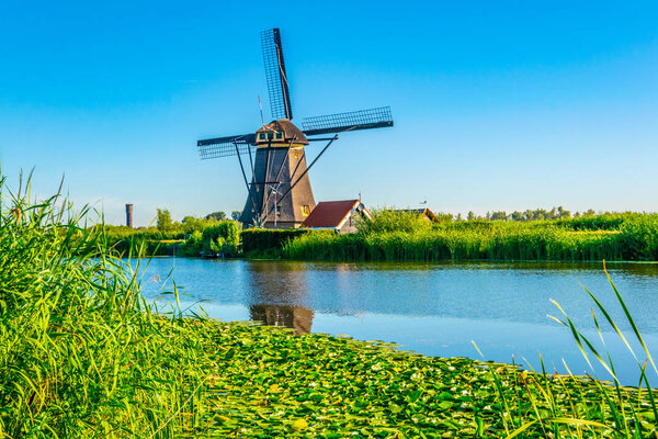 Kinderdijk windmills viewed during sunny summer day, Rotterdam, 