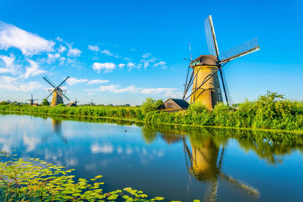 Kinderdijk windmills viewed during sunny summer day, Rotterdam, 