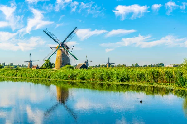 Wiatraki Kinderdijk oglądane w słoneczny letni dzień, Rotterdam, — Zdjęcie stockowe