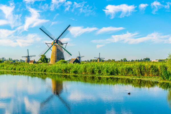 Kinderdijk windmills viewed during sunny summer day, Rotterdam, 