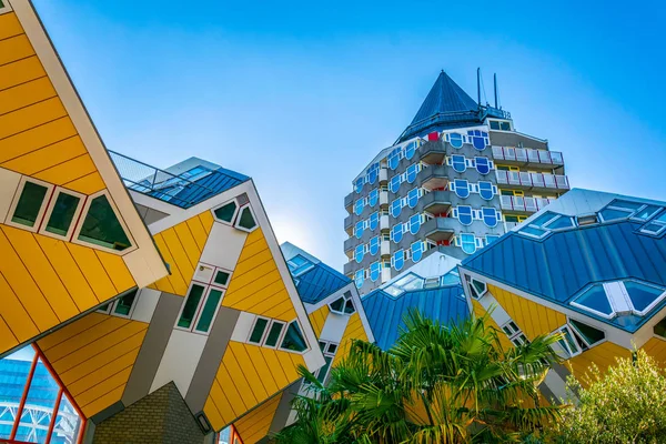 Beroemde kubus huizen en Blaak toren in Rotterdam, Nederland — Stockfoto