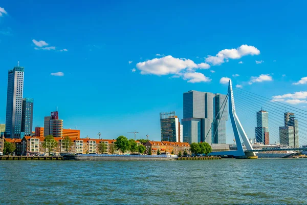 Skyscrapers and Erasmus bridge in Rotterdam, Netherlands — Stock Photo, Image