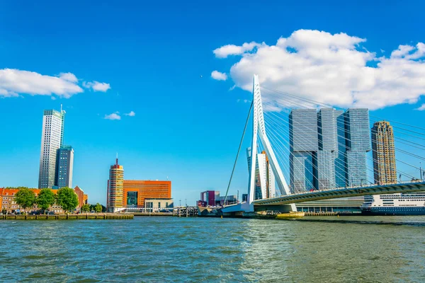 Mrakodrapy a Erasmus Bridge v Rotterdamu, Nizozemsko — Stock fotografie