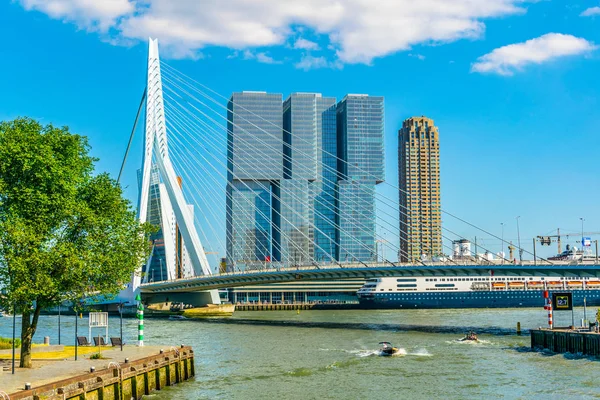 Mrakodrapy a Erasmus Bridge v Rotterdamu, Nizozemsko — Stock fotografie